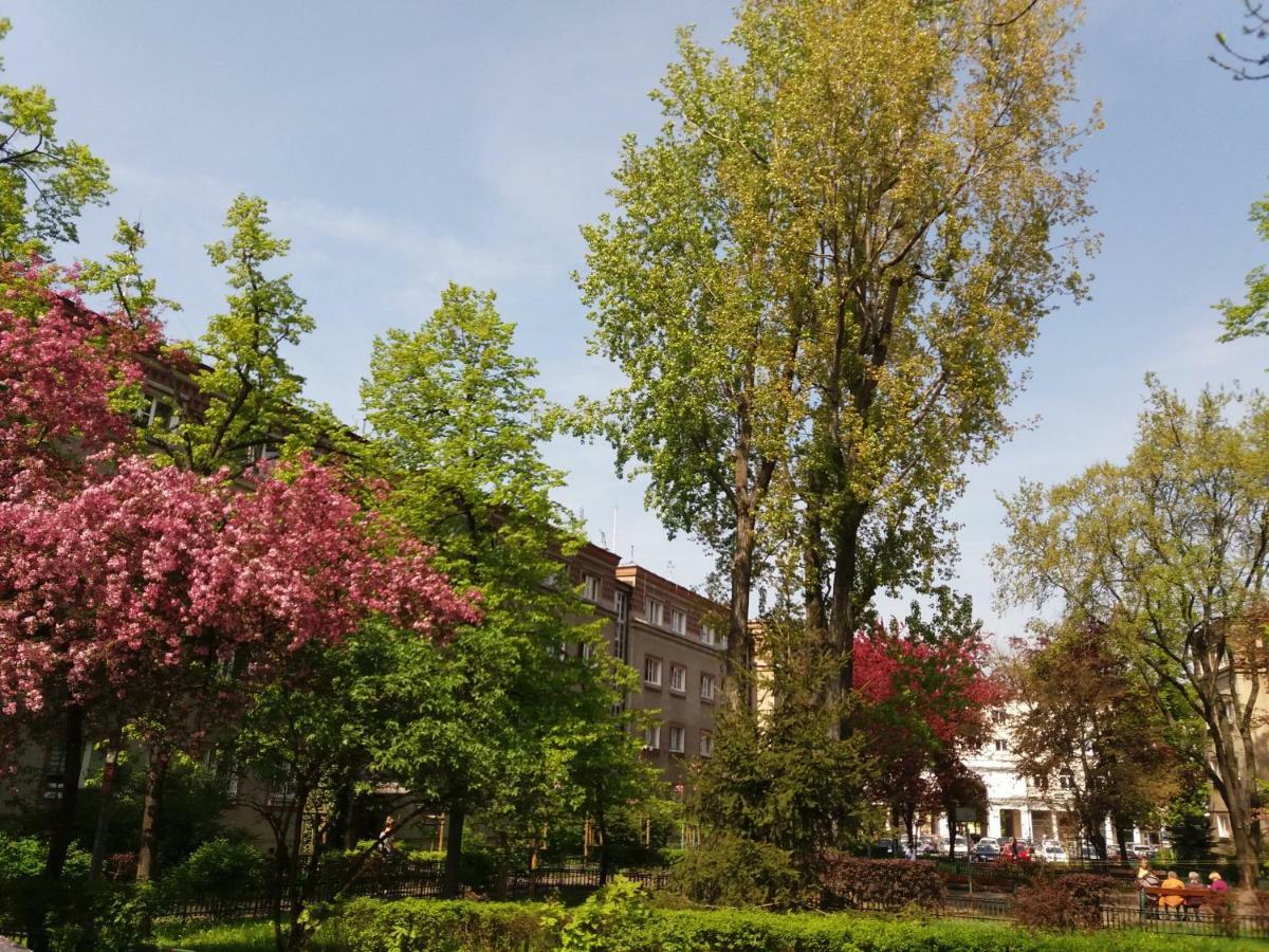 Muranów Studio Warszawa Zewnętrze zdjęcie